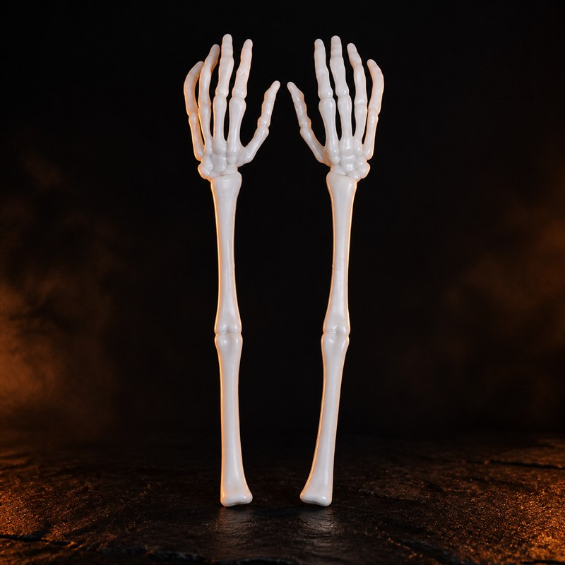 Skeleton arms